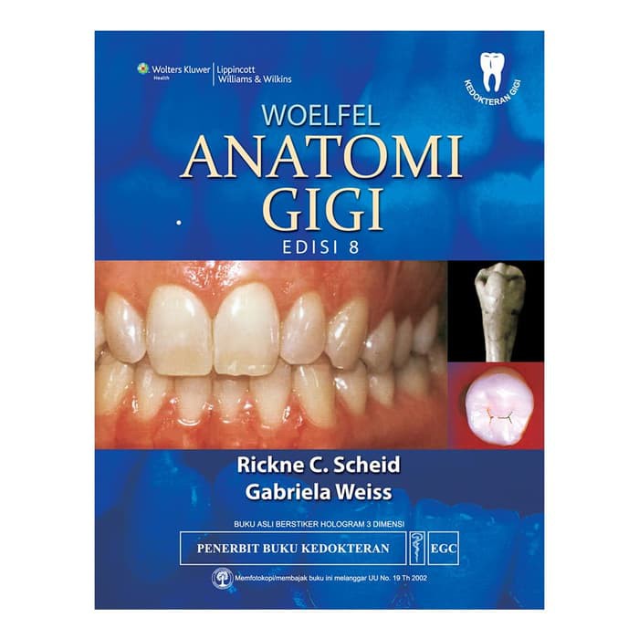 Woelfel Anatomi Gigi