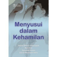 Menyusui dalam kehamilan